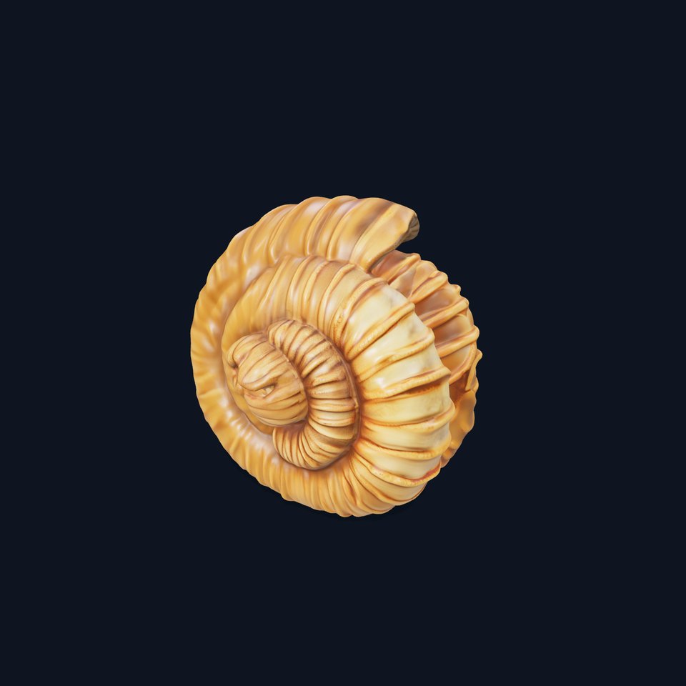 Fossilized Ammonite Model Pack for Interactive Environments